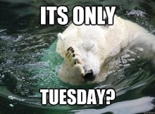 It's Only Tuesday