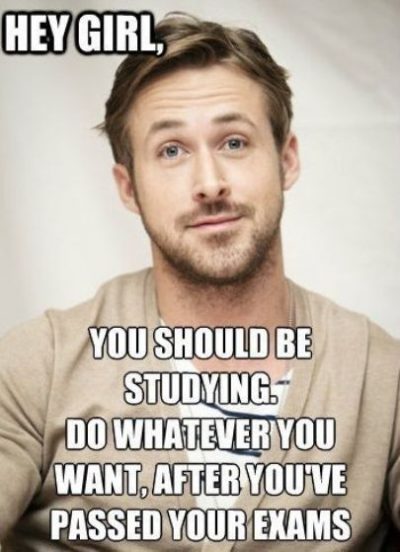 Memes About Studying For Exams