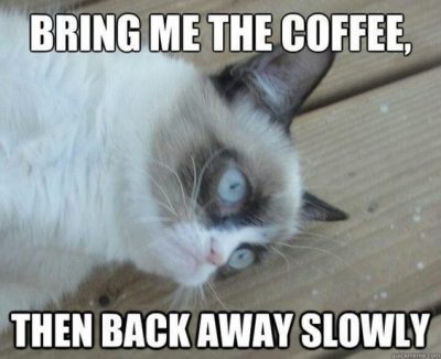 Monday Cat Coffee Memes