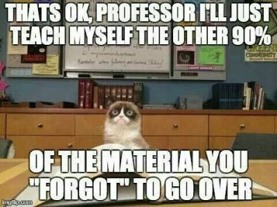 Nursing School Cat Meme