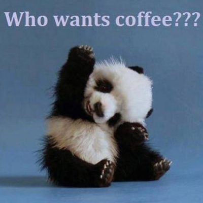 Panda Wednesday Coffee Meme