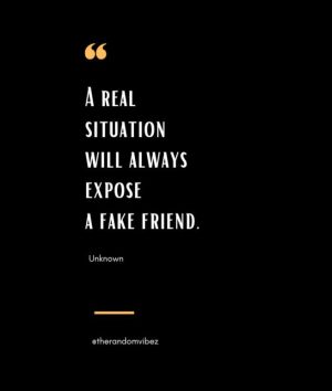 Quotes About Fake Friendship