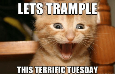 Terrific Tuesday Memes