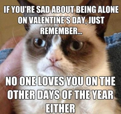 Valentine Day's Cat Meme