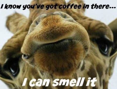 Wednesday Funny Coffee Meme