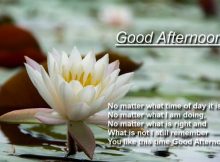 Good Afternoon Quote