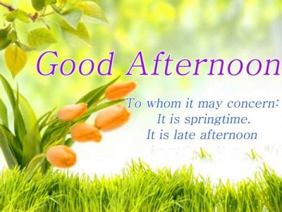 Good afternoon Quotes Facebook