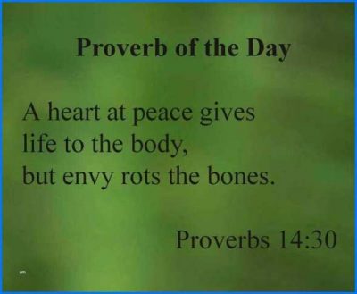 Proverbs On Envy