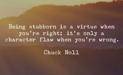 Stubborn Quotes For Him