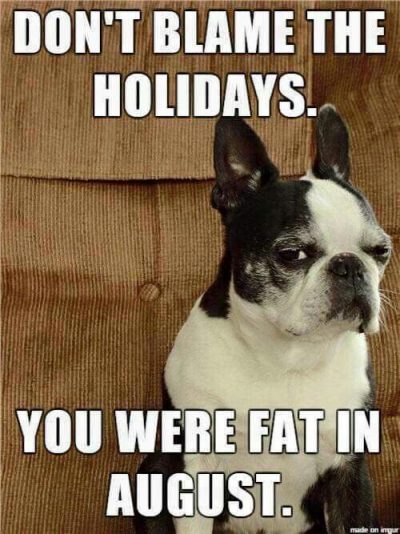 Funny Holiday Quotes