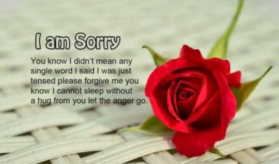 Heart Touching Sorry Message