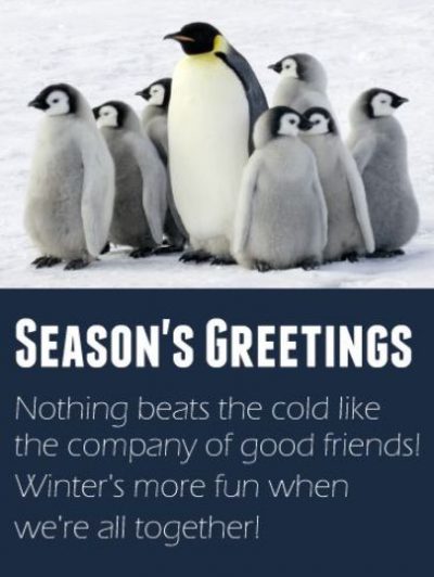 Holiday Winter Greeting For Friends