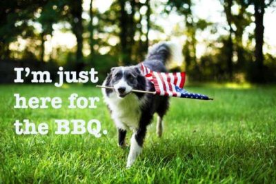 Clever Fourth Of July Captions