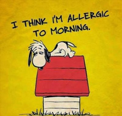 Allergic Morning Pictures