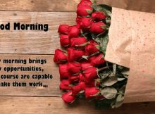 Good Morning Quotes For Facebook