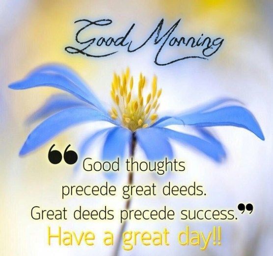 thoughts and good morning emage
