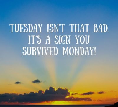 Monday Survival Picture Quote