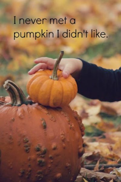 Pumpkin Halloween Photos