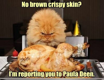 Funny Captions for Thanksgiving