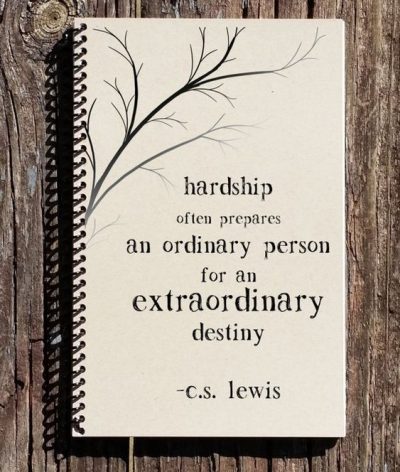 Hardship Quotes