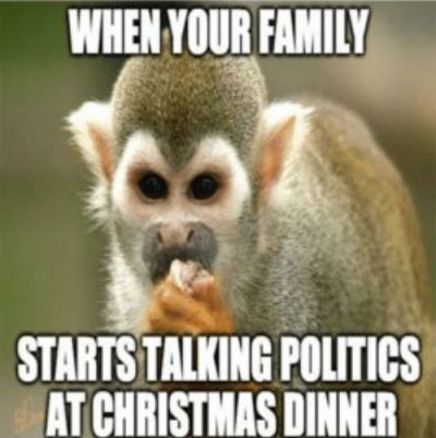 Animal Christmas Memes