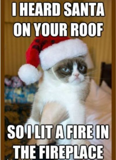 Christmas Cat Memes