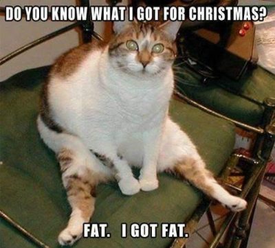 Cool Christmas Meme Fat