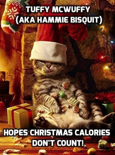 Diet Quotations For Christmas Eve