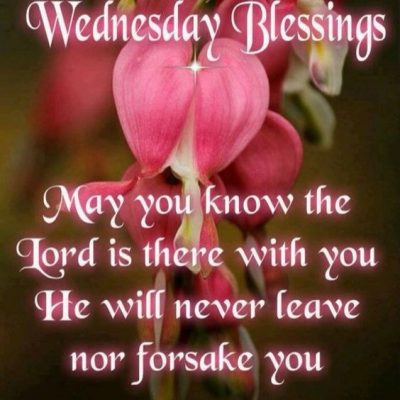 Blessed Wednesday