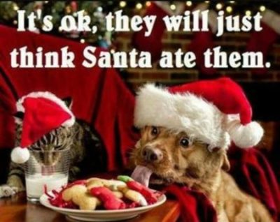 Christmas Captions Funny