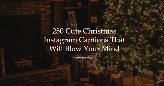 Funny Christmas Captions for Instagram