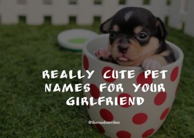 Sweet Pet Names for Your Girlfriend