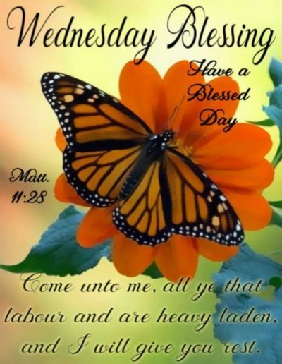 Wednesday Blessings