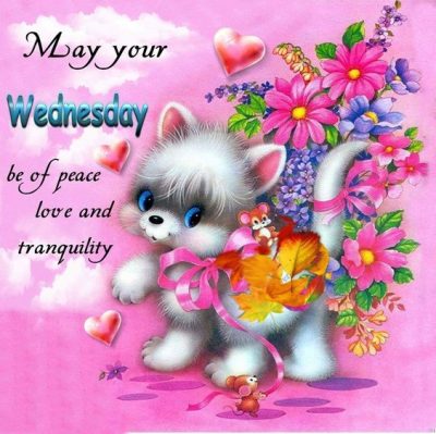 Wednesday Morning Greetings