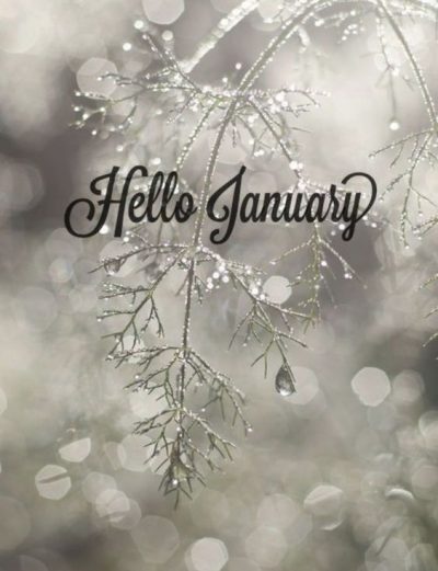 Hello January 2021 Pictures