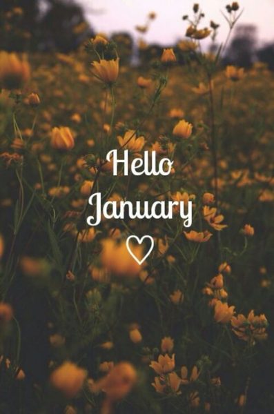 Hello January Flowers Pics