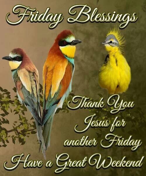 170 Friday Blessings Images Quotes Pictures And Gif Photos