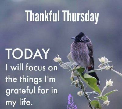 Thankful Thursday Blessings