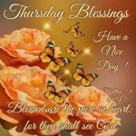 Thursday Morning Blessings