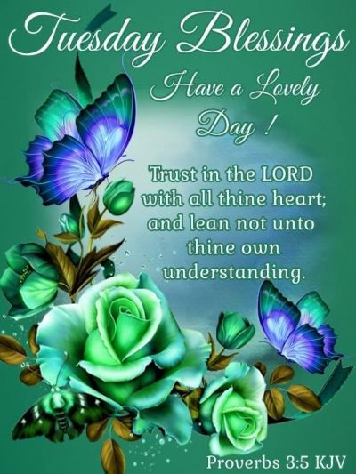 Tuesday Blessings