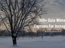 Winter Captions for Instagram