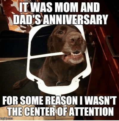 50+ Funny Anniversary Memes, GIF's and Images| The Random ...