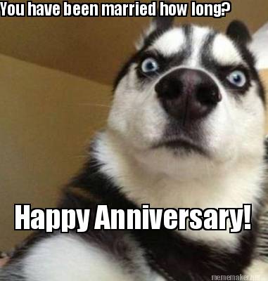 Happy Anniversary Dog Meme