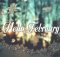 Hello February Images Free HD