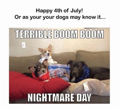 4th July Dog Memes