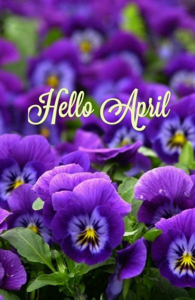 Hello April Flower Pics