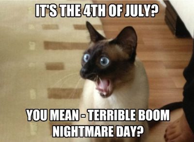 Hilarious 4th Of July Memes