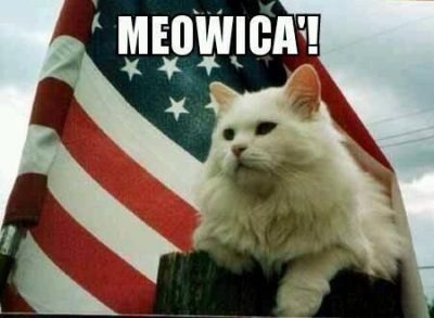Patriotic Cat Memes