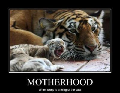 Funny Motherhood Meme