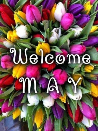 Hello May Floral Pic